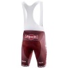 Set Kurzarmtrikot + Trägerhose 2019 Team Katusha Alpecin N001